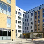 Rent 1 bedroom apartment in Southampton