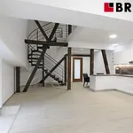 Rent 3 bedroom apartment of 86 m² in Brno