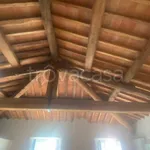 Rent 4 bedroom apartment of 100 m² in Lucca