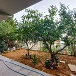 apartment athens - south alimos kefallinion