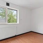 Huur 4 slaapkamer appartement in Beringen