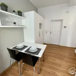 Rent 1 bedroom apartment in Brno