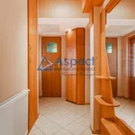 Rent 3 bedroom apartment of 55 m² in SZCZECIN