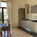 Rent 4 bedroom apartment of 80 m² in Firenze