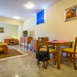 Rent 2 bedroom apartment of 132 m² in Budapest