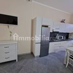 Rent 1 bedroom apartment of 40 m² in Biella