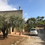 Rent 2 bedroom house of 60 m² in Marsala