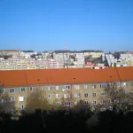 Rent 2 bedroom apartment of 44 m² in Capital City of Prague