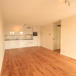 Rent 2 bedroom apartment of 54 m² in Maastricht