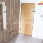 Rent 1 bedroom apartment in Brno