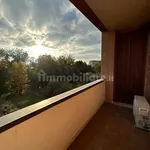 Rent 3 bedroom apartment of 100 m² in Treviso