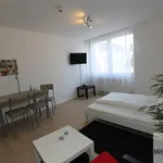 Miete 1 Schlafzimmer wohnung von 28 m² in Nuremberg