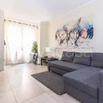 Rent 3 bedroom apartment of 65 m² in Torino