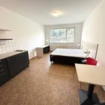 Rent 1 bedroom apartment in Praha 5