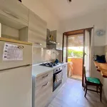 Rent 2 bedroom apartment of 65 m² in Roma