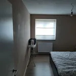 Rent 2 bedroom apartment in Lille