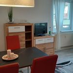 Miete 1 Schlafzimmer wohnung von 43 m² in Dresden