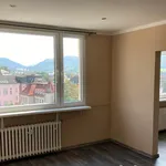 Rent 1 bedroom apartment in Děčín