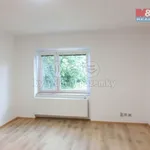 Pronajměte si 2 ložnic/e byt o rozloze 57 m² v Benátky nad Jizerou