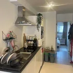 Rent 1 bedroom apartment in Ghent