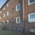 Miete 3 Schlafzimmer wohnung von 56 m² in Wilhelmshaven