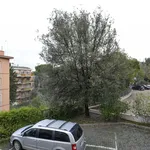 Rent 6 bedroom apartment in Rome