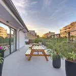 Rent 1 bedroom student apartment of 16 m² in València