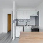 Rent 1 bedroom apartment in Prague