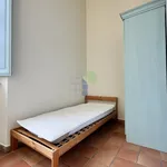 Rent 2 bedroom apartment of 35 m² in Pisa