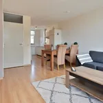 Rent 4 bedroom apartment in Rijpelplein