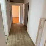 Rent 2 bedroom apartment of 55 m² in Salgótarján