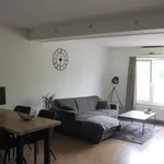 Rent 2 bedroom apartment of 45 m² in Stein