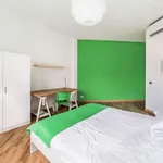 Rent a room in florence