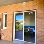 Rent 2 bedroom apartment of 50 m² in Cervia