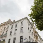 Rent a room of 600 m² in brussels