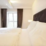 Rent 1 bedroom apartment of 48 m² in frankfurt