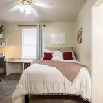 Rent 1 bedroom apartment in College Station