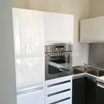 Rent 2 bedroom apartment of 60 m² in Turin