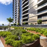 Rent 1 bedroom apartment in Glen Waverley