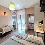 Rent 1 bedroom apartment of 30 m² in Milano