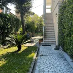 Rent 3 bedroom house of 100 m² in Pisa