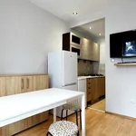 Rent 1 bedroom apartment of 17 m² in Łódź