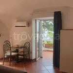 Rent 2 bedroom apartment of 40 m² in Capri