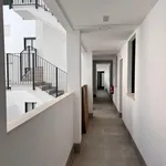 Rent 2 bedroom apartment in Malaga