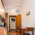 Rent 1 bedroom apartment of 34 m² in Roma