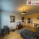 Rent 2 bedroom apartment of 59 m² in Opava