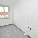 Rent 2 bedroom apartment of 43 m² in Chemnitz