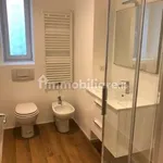 Rent 4 bedroom apartment of 120 m² in Trento