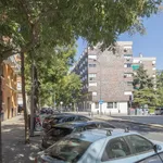 Alquilar 5 dormitorio apartamento en Madrid