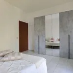 Rent 1 bedroom apartment in milan